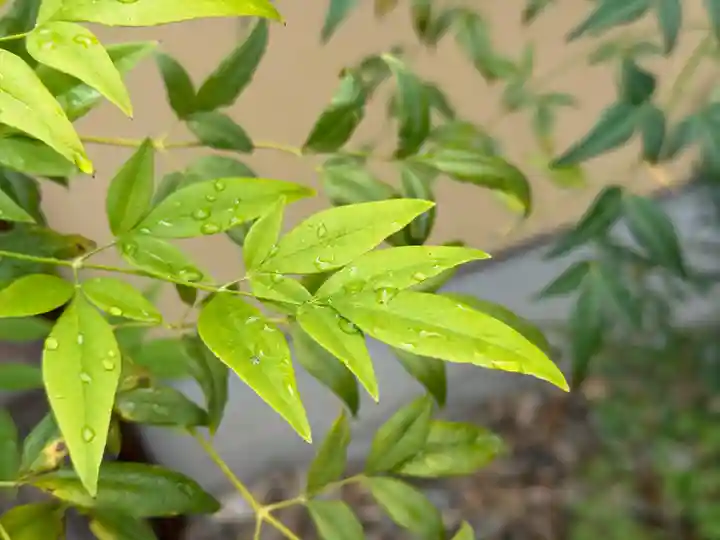 西方山極楽寺(岐阜県)