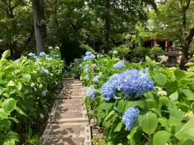 長命寺(東京都)