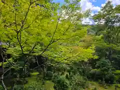 西明寺(京都府)