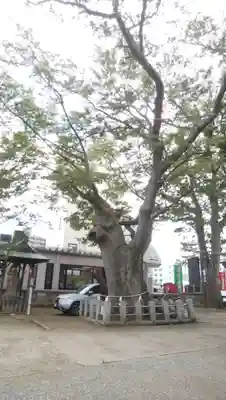 阿邪訶根神社(福島県)