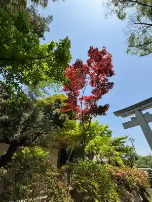 検見川神社(千葉県)