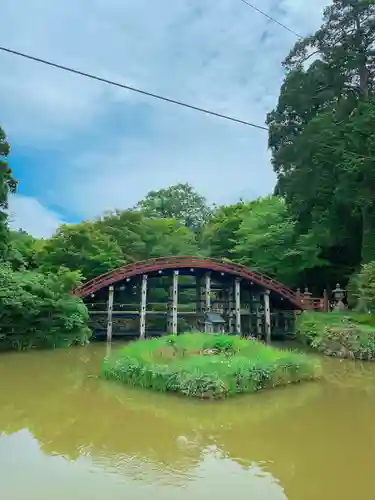 丹生都比売神社の建物その他