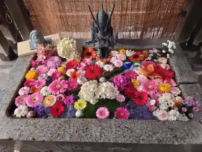 札幌諏訪神社の手水舎