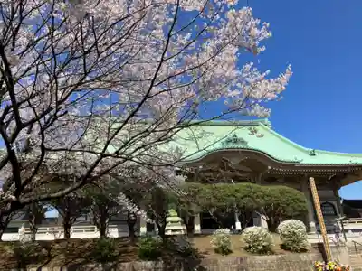 総持寺(神奈川県)