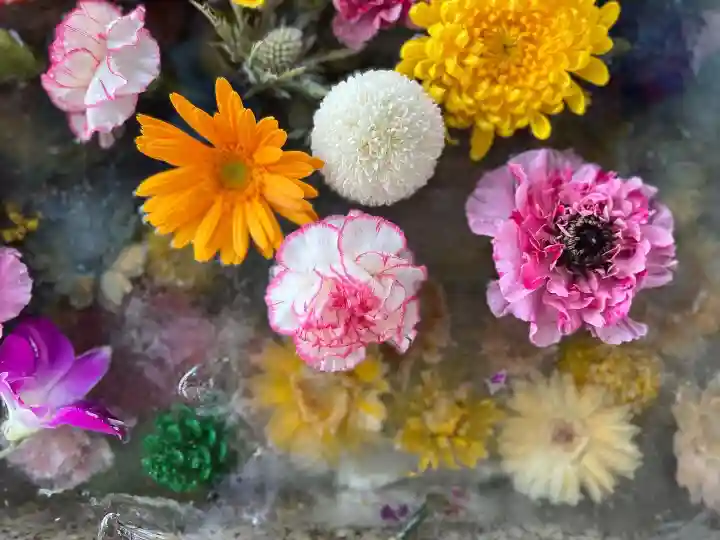 札幌諏訪神社の手水舎