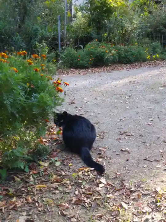 岡部春日神社~👹鬼門よけの🌺花咲く🌺やしろ~(福島県)