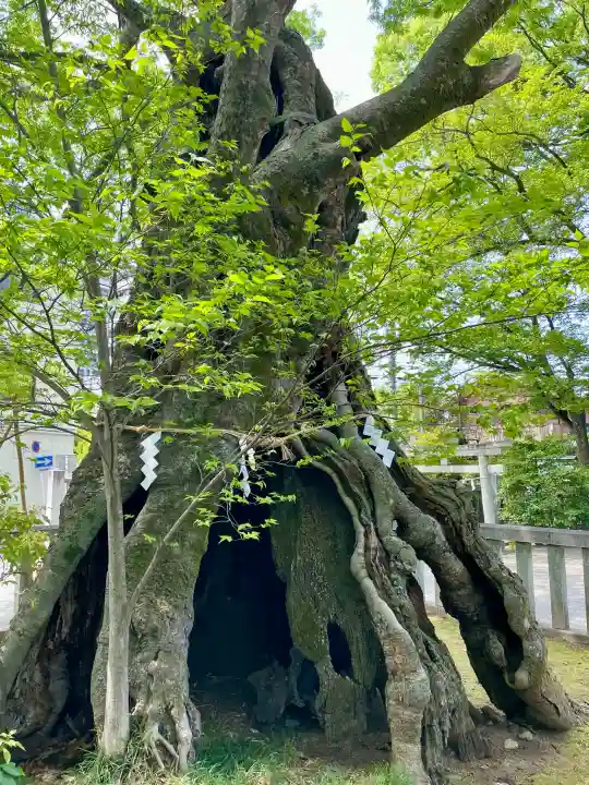 高城神社の{uncategorized: "未分類", other: "その他", undefined: "問題あり", building: "その他建物", grave: "お墓", sacred_gate: "鳥居", guardian: "狛犬", statue: "像", buddha: "仏像", history: "歴史", nature: "自然", garden: "庭園", animal: "動物", pagoda: "塔", temizu: "手水舎", mountain_gate: "山門・神門", sanctuary: "本殿・本堂", subordinate: "末社・摂社", art: "芸術", scenery: "景色", jizo: "地蔵", ema: "絵馬", goshuin: "御朱印", omikuji: "おみくじ", items: "授与品その他", amulet: "お守り", goshuincho: "御朱印帳", eats: "食事", festival: "お祭り", votive_dance: "神楽", shichigosan: "七五三参", wedding: "結婚式", experience: "体験その他", initially: "初詣", around: "周辺", anti_infection: "感染症対策"}