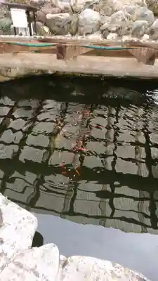 長橋寺(京都府)