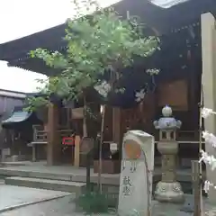 櫻天神社(愛知県)