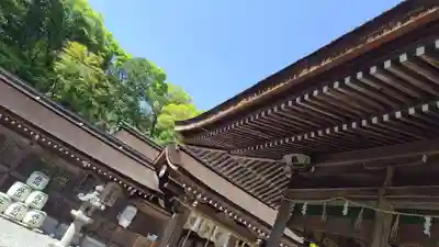 出雲大神宮(京都府)