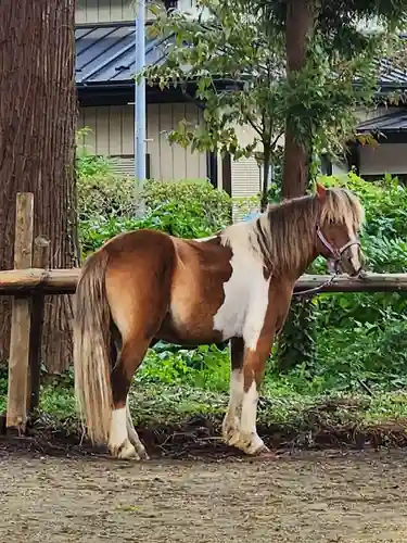 櫛引八幡宮(青森県)