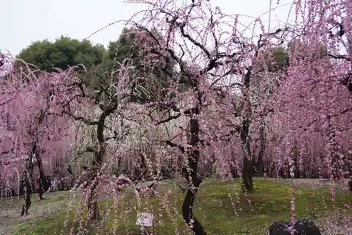 城南宮(京都府)