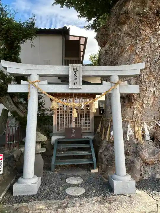 槻井泉神社(長野県)