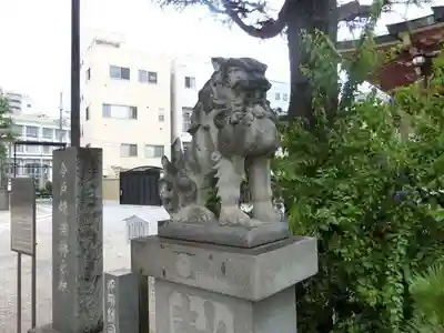 今戸神社の狛犬