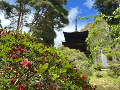 国宝 大法寺(長野県)