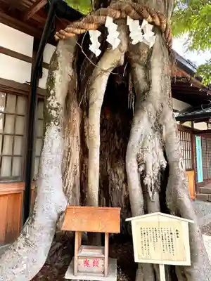 三輪坐恵比須神社の自然