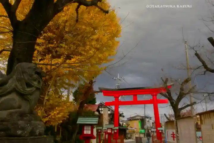 鷲宮神社(埼玉県)