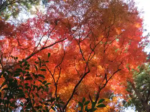 倭姫宮（皇大神宮別宮）の自然