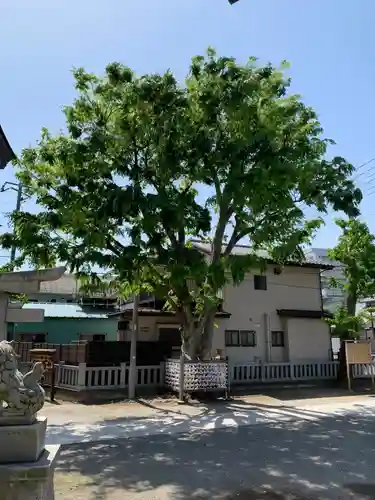 日枝神社（相之川）(千葉県)