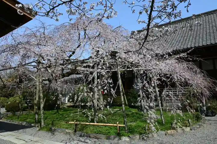 毘沙門堂門跡(京都府)