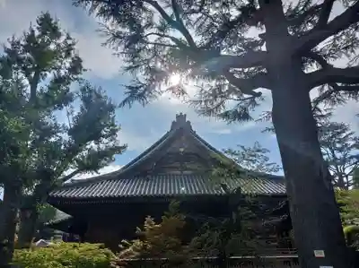 寛永寺(根本中堂)(東京都)