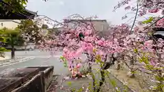 本法寺(京都府)