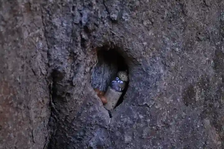 一言主神社の{uncategorized: "未分類", other: "その他", undefined: "問題あり", building: "その他建物", grave: "お墓", sacred_gate: "鳥居", guardian: "狛犬", statue: "像", buddha: "仏像", history: "歴史", nature: "自然", garden: "庭園", animal: "動物", pagoda: "塔", temizu: "手水舎", mountain_gate: "山門・神門", sanctuary: "本殿・本堂", subordinate: "末社・摂社", art: "芸術", scenery: "景色", jizo: "地蔵", ema: "絵馬", goshuin: "御朱印", omikuji: "おみくじ", items: "授与品その他", amulet: "お守り", goshuincho: "御朱印帳", eats: "食事", festival: "お祭り", votive_dance: "神楽", shichigosan: "七五三参", wedding: "結婚式", experience: "体験その他", initially: "初詣", around: "周辺", anti_infection: "感染症対策"}