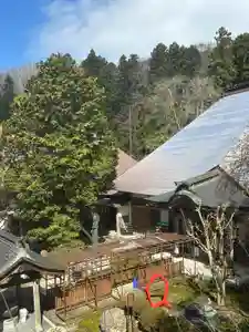 国上寺(新潟県)(2025年04月09日(水) 12時03分25秒投稿)