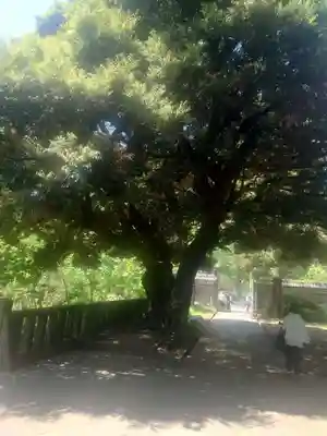 湯島聖堂(東京都)