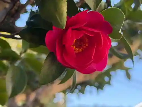 西方山極楽寺(岐阜県)