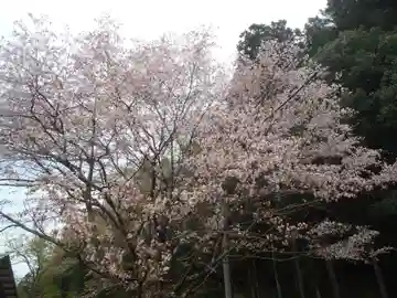 神明神社(岐阜県)