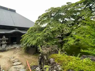 西善寺のその他建物