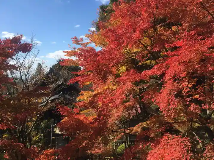 播州清水寺の自然