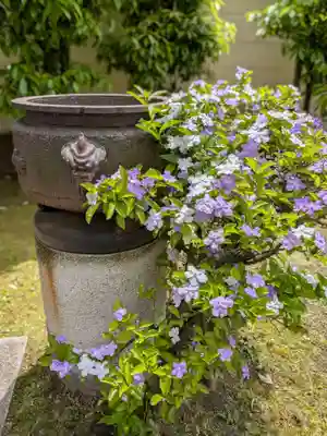 源空寺(東京都)