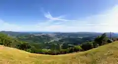 霧島神社の自然