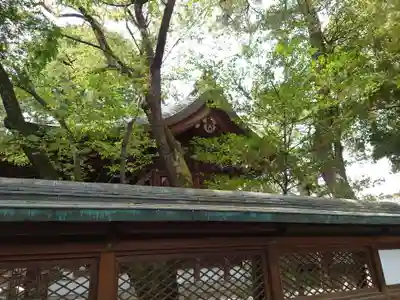 白峯神宮(京都府)