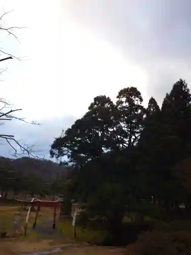 一本杉神社(島根県)