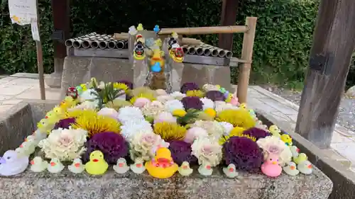 くろ谷 金戒光明寺(京都府)