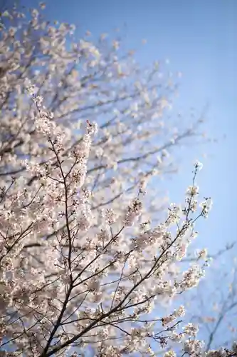前原御嶽神社(千葉県)