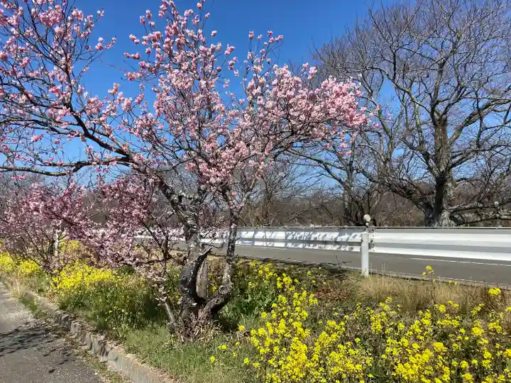 國津比古命神社(愛媛県)