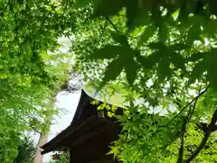 滑川神社 - 仕事と子どもの守り神の自然