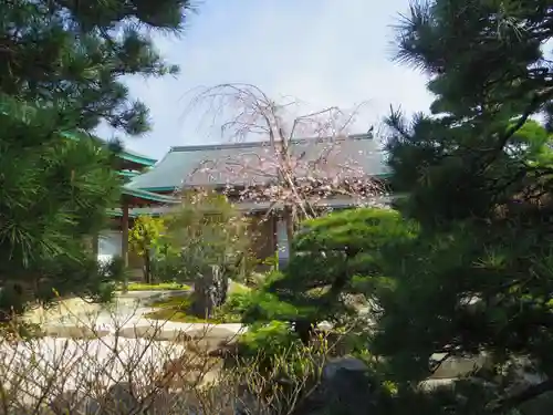 鶴岡八幡宮の庭園