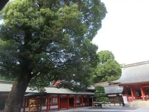 藤崎八旛宮(熊本県)