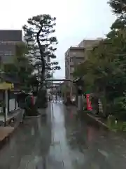 桜神宮の鳥居