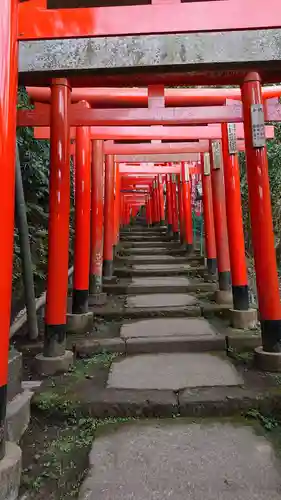 佐助稲荷神社の鳥居