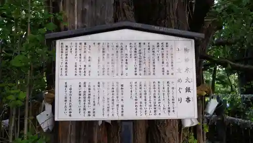 稲毛神社の歴史