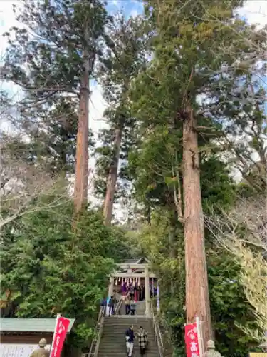 高瀧神社の自然
