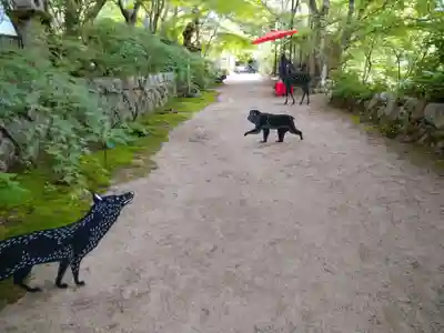 国宝 長寿寺(滋賀県)