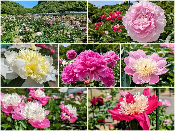 金蛇水神社(宮城県)