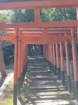 小幡神社の鳥居